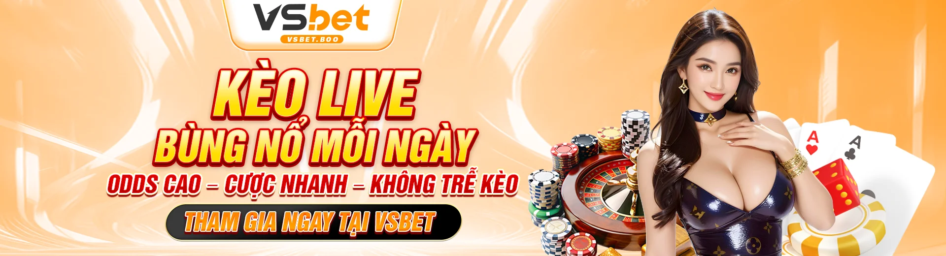 Banner VSBET