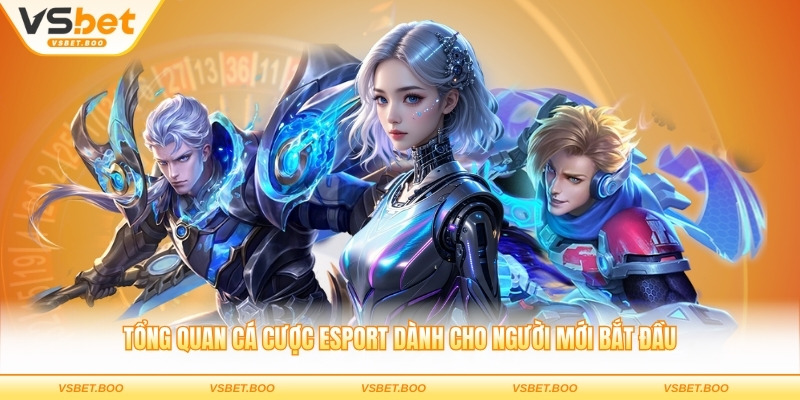 Tổng quan cá cược esport dành cho người mới bắt đầu