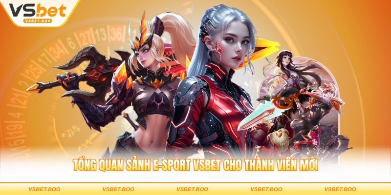 Tổng quan sảnh e-sport VSBET cho thành viên mới